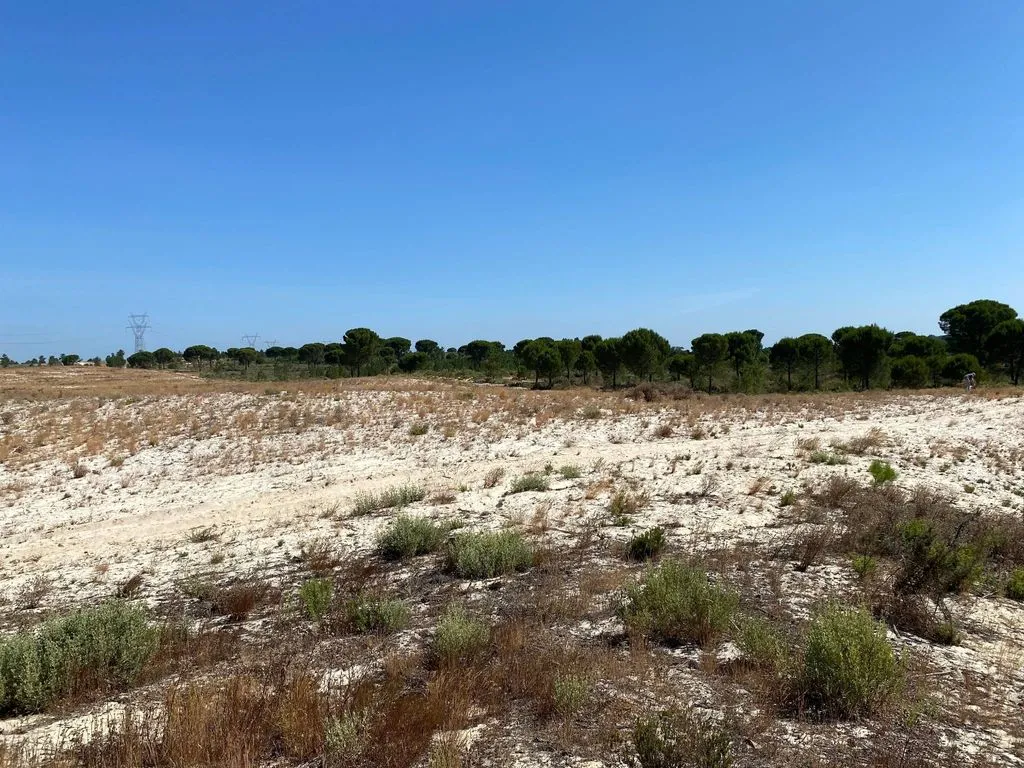 Aed - Buildable Land with Water Access near Grândola