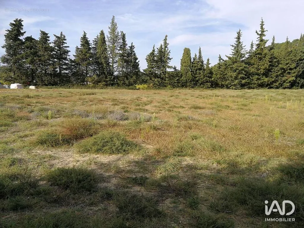 Jardin - Terrain Constructible Exposé Sud à Saint-Paul-Trois-Châteaux