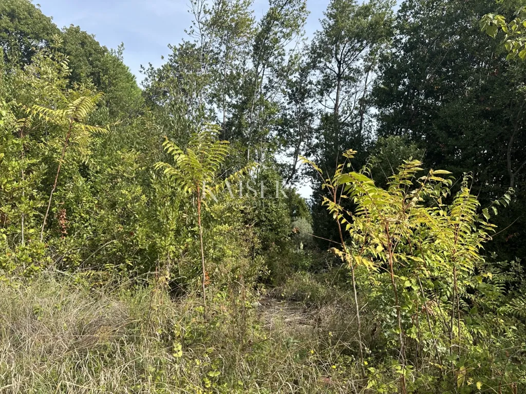 Jardin - Building Land with Sea View in Medveja