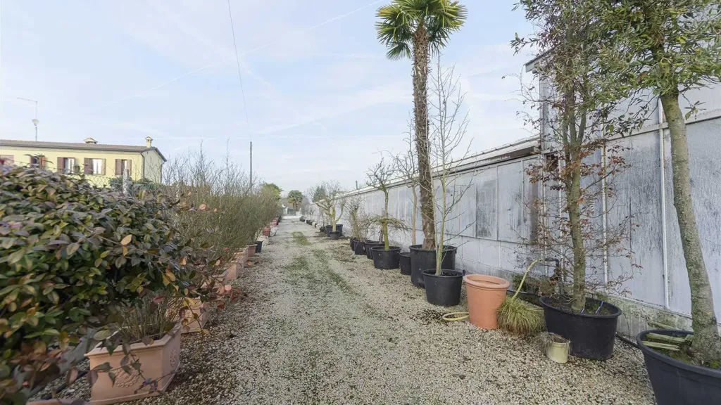 Jardin - Villa with 4000m² Garden in Vigonza