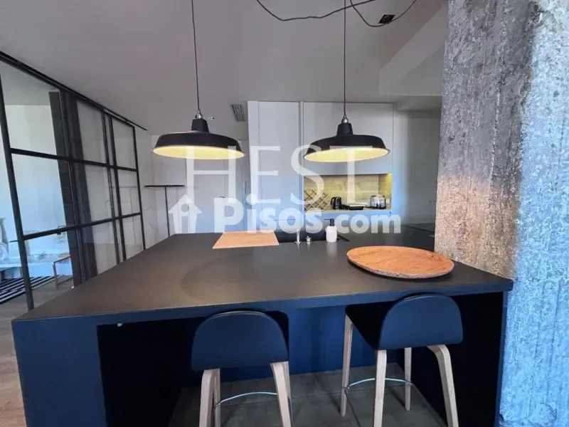 Cuisine - Contemporary Flat with Modernist Finca in Diagonal
