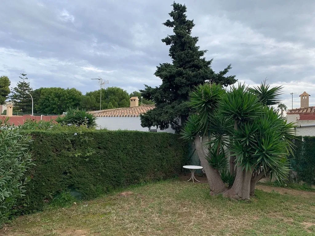 Jardin - Chalet with Garden in Campoamor