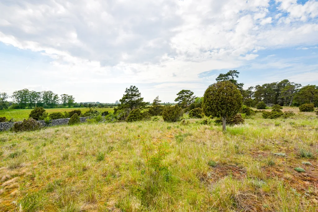 Giardino - Unbuilt Plot with Nature on Fårö