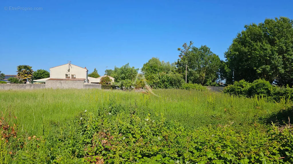 Aed - Buildable Plot with Sea Proximity in Saint Froult