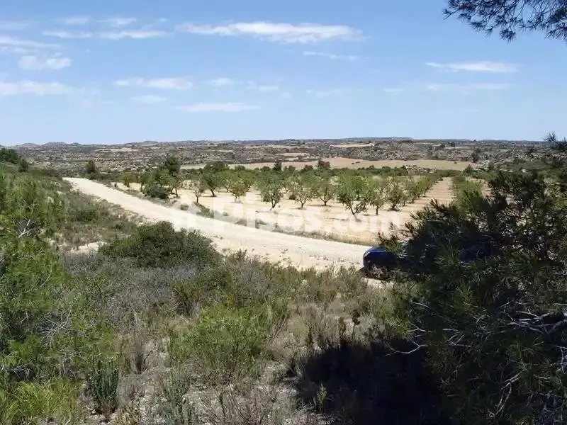 Aed - Rustic Hunting Estate in Alcañiz