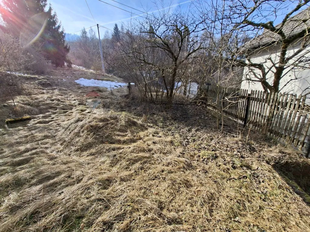 Giardino - Semi-detached House with Garden in Ronce, Belluno