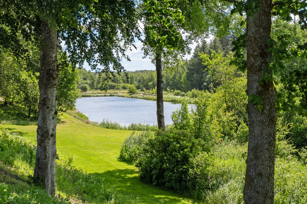 5-toaline maja asukohas Brande