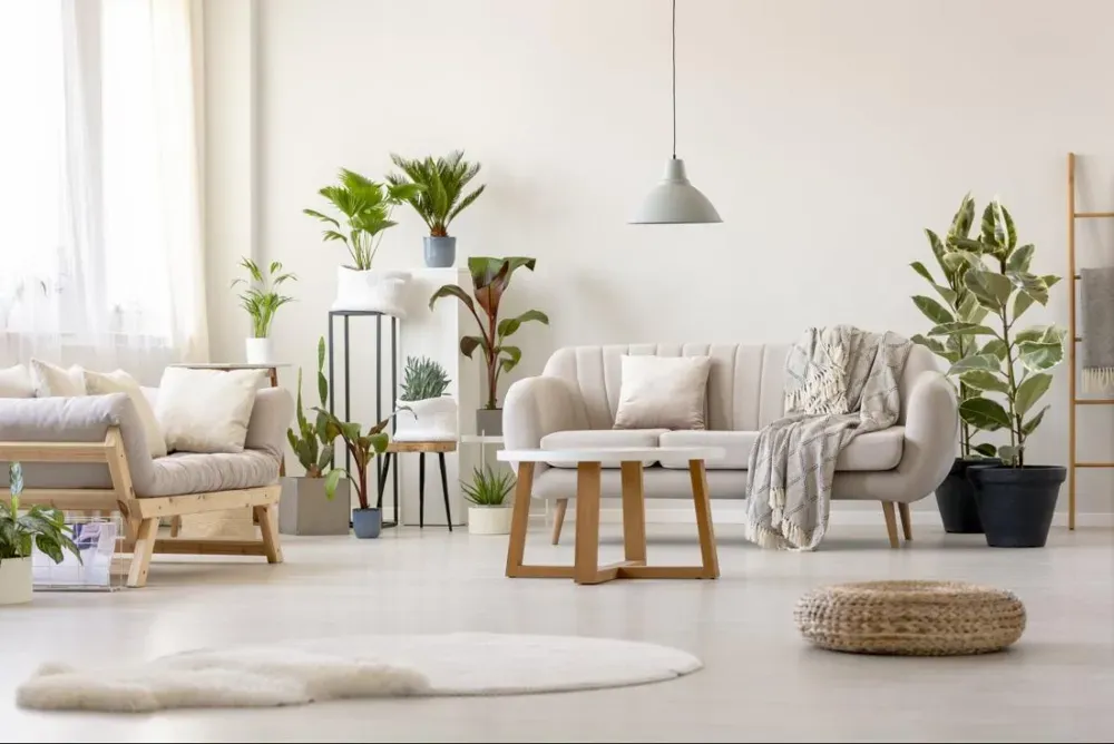 Séjour - Appartement Traversant avec Terrasses à Perpignan