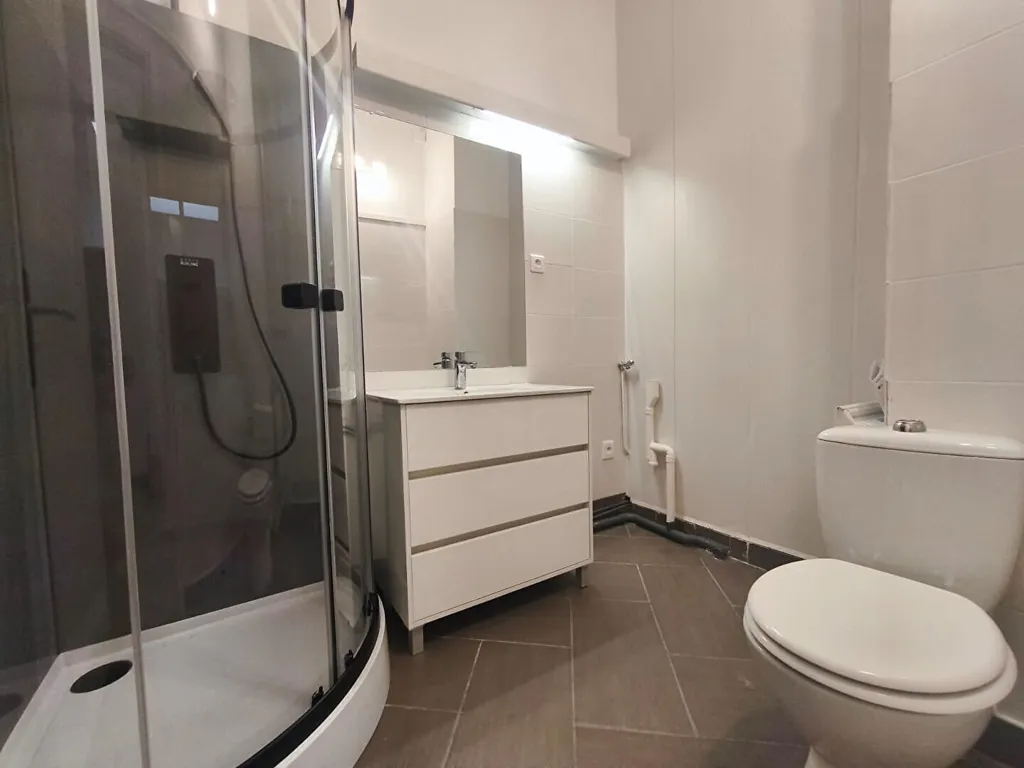 Bathrooms - Renovated 1-Bed Flat in Lille Centre