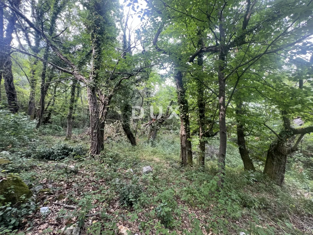 Aed - Reconstruction Plot with Sea Proximity in Mošćenička Draga