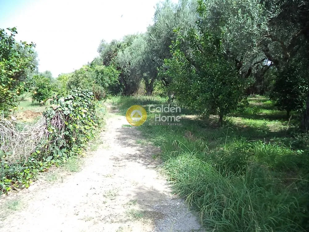 Jardin - Detached House with Mountain View in Diakopto Centre