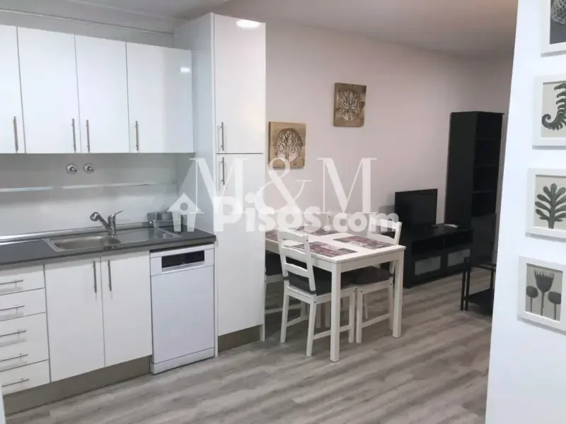 Cuisine - Modern Studio Flat in Villanueva de la Cañada Centre