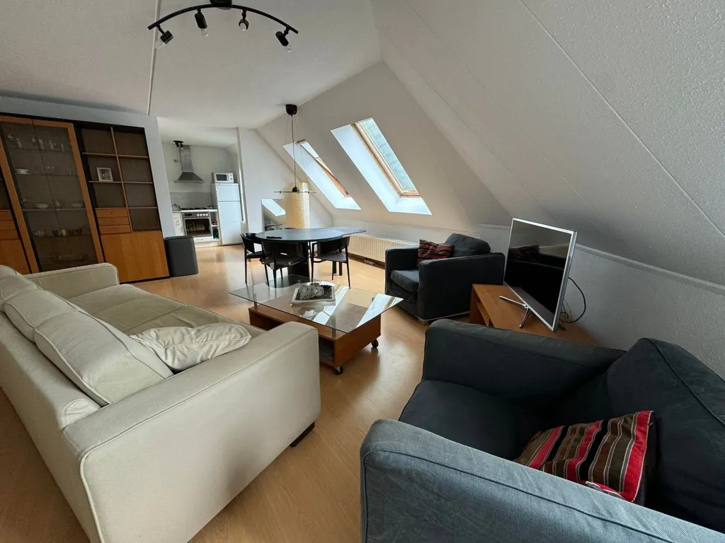 Elutuba - Furnished Apartment with Balcony near Eindhoven Centre