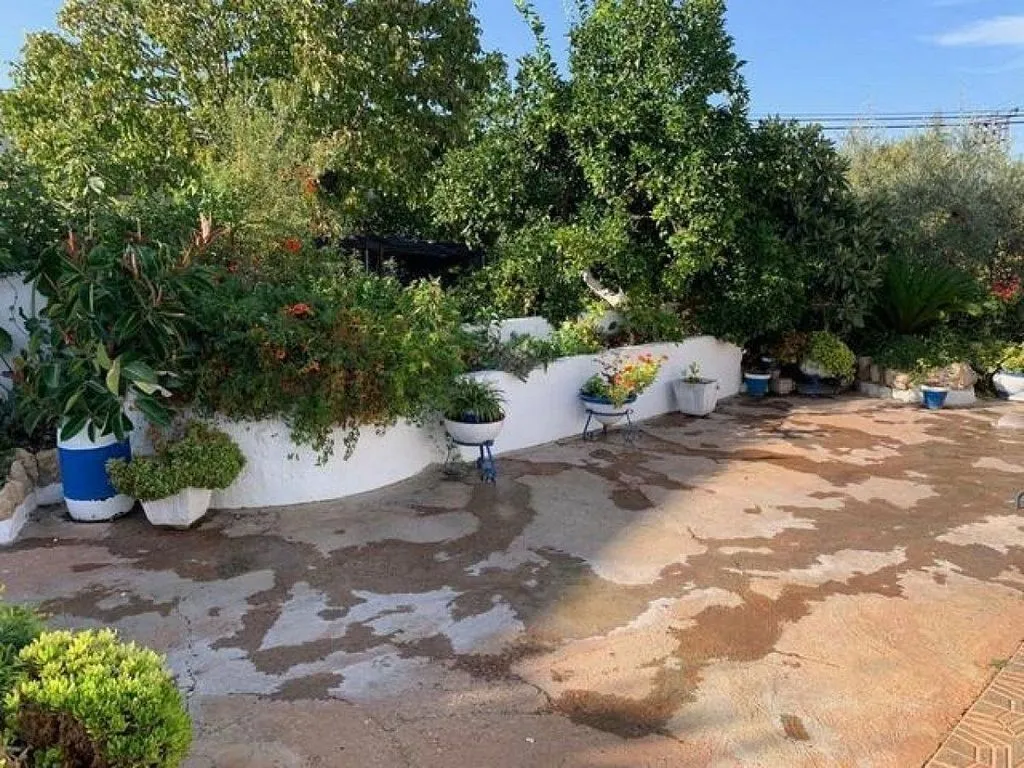 Terrass - Rural House with Large Plot in El Higuerón