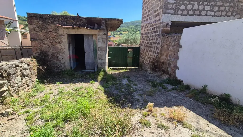 Aed - Rustic House with Olive Grove in Allai