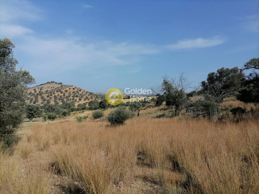 Jardin - Agricultural Plot with Mountain View in Phaistos
