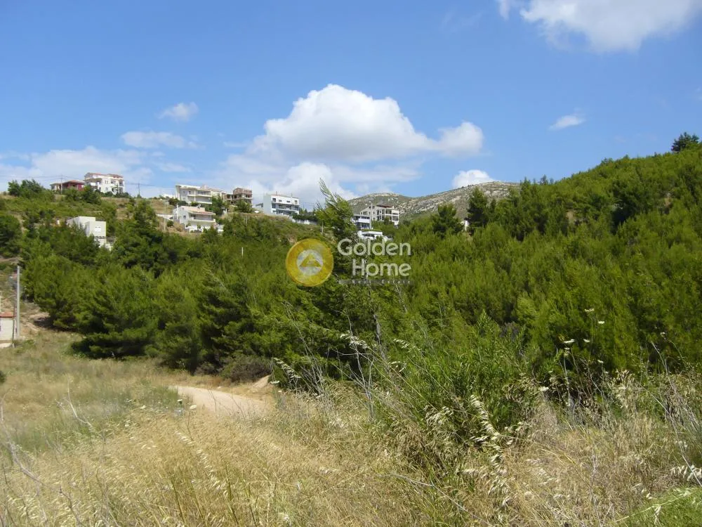 Corner Plot with Sea View in Dioni