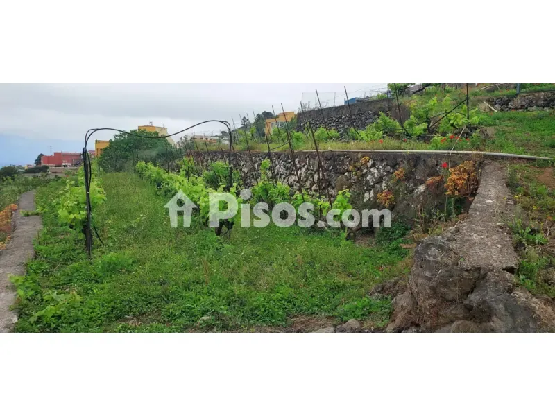Aed - Rustic Farmhouse with Bodega near Calle Real