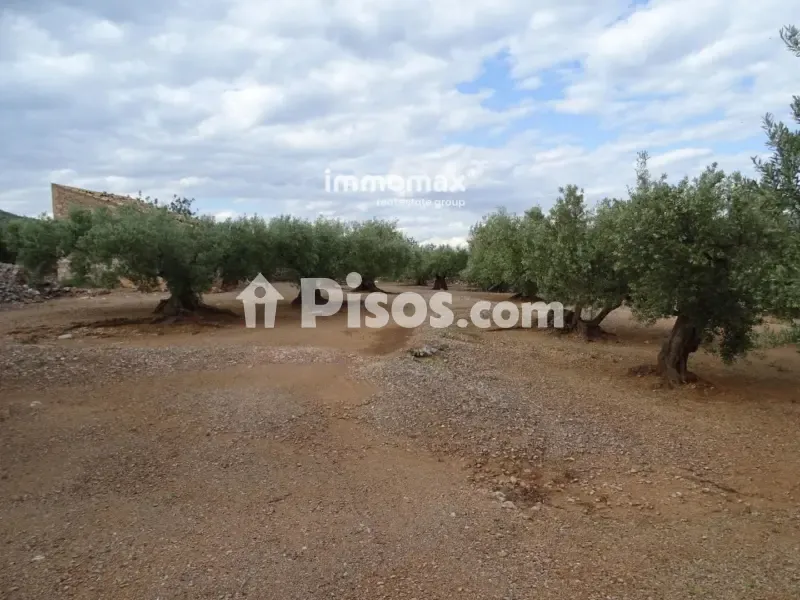 Aed - Rustic Farm with Olive Grove in Xerta