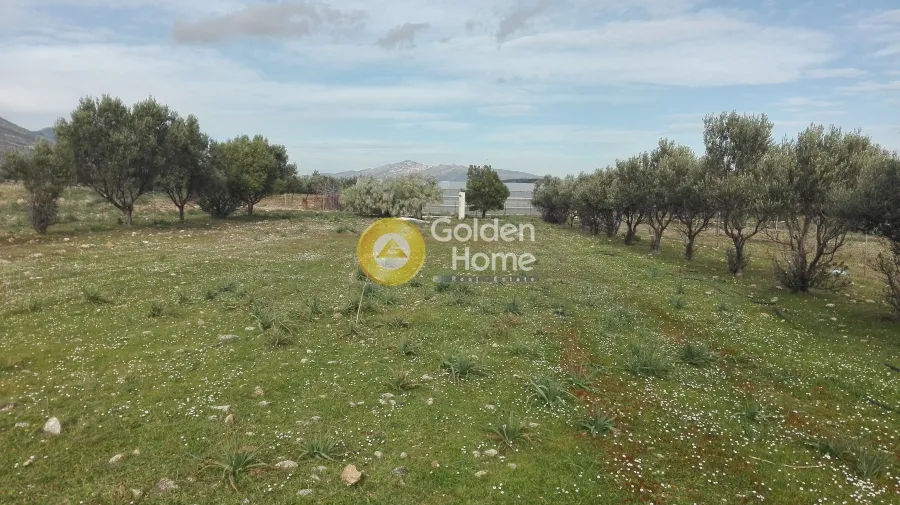 Giardino - Plot with Mountain View in Koropi