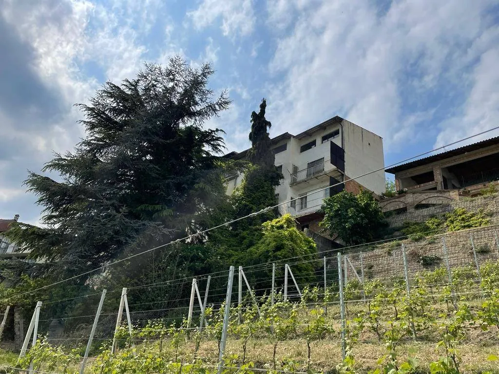 Extérieur - Terraced House with Panoramic Views in La Morra