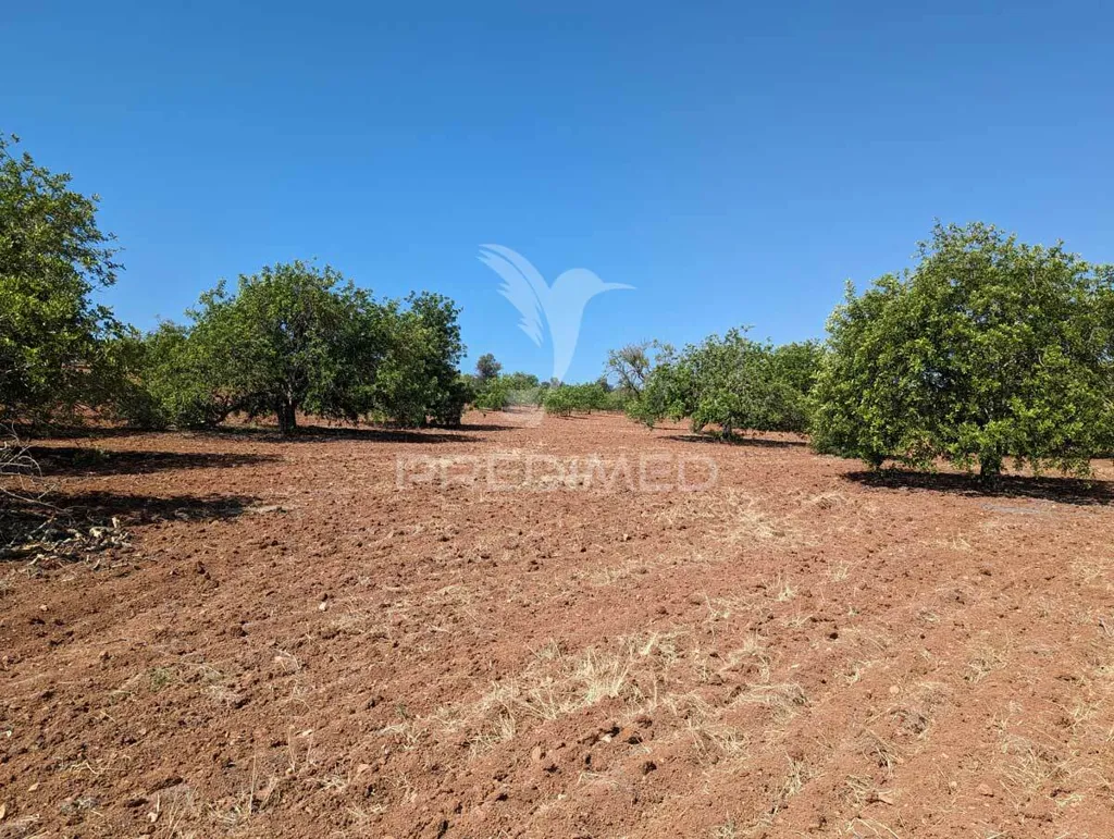 Jardin - Herdade with Ruin in Castro Marim