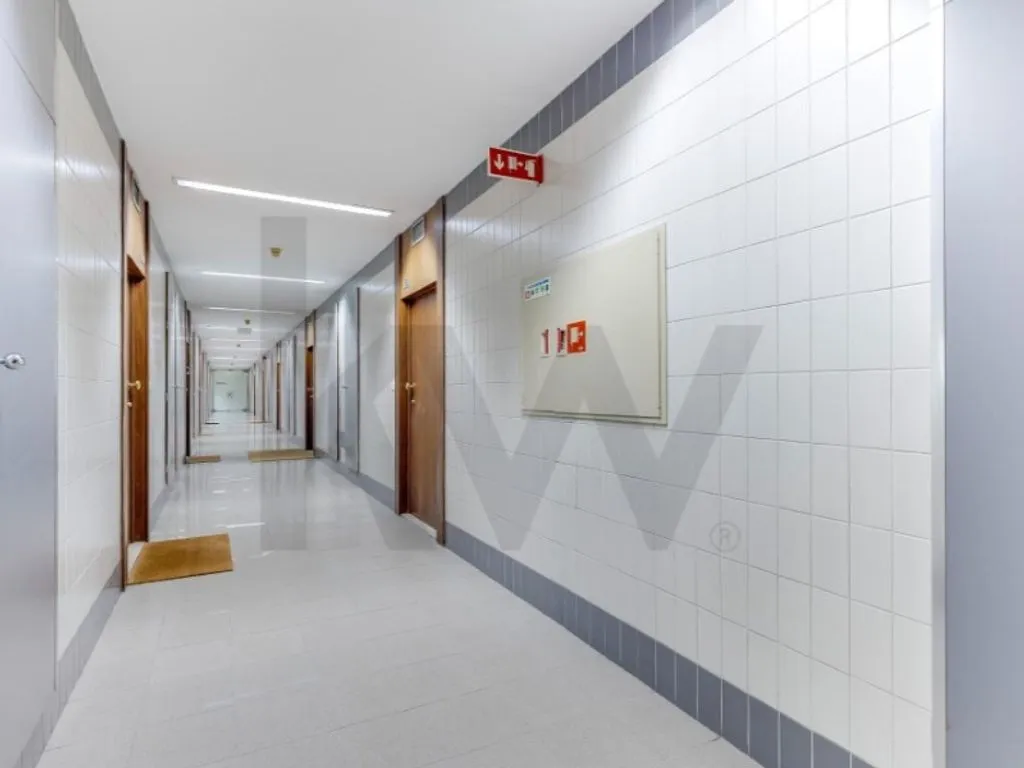 Esik - Luxury Office Space in Porto's City Centre