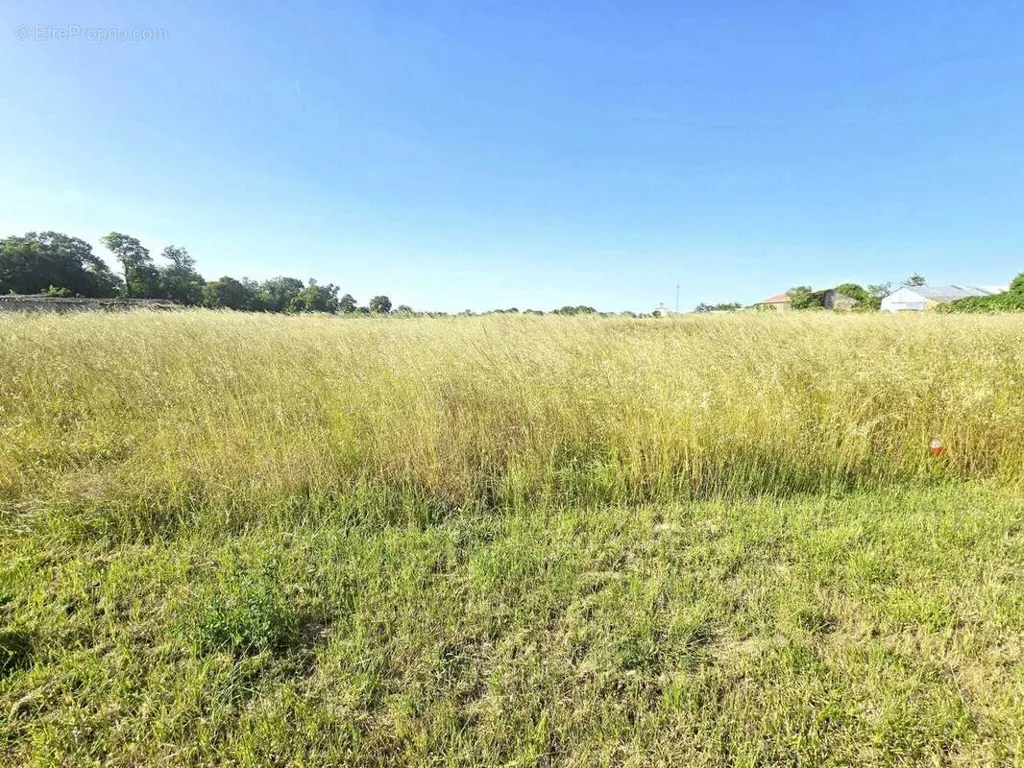 Aed - Viabilised Plot in Le Gué-d'Alleré, Charente-Maritime