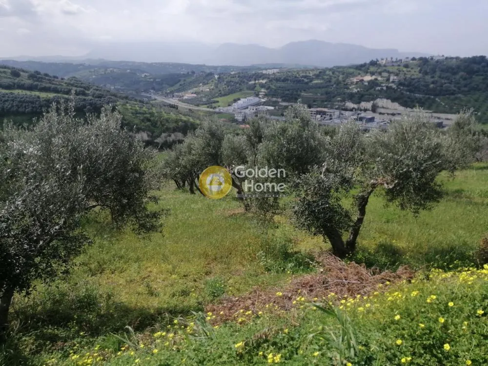 Aed - Agricultural Plot with Olive Trees in Temenos Centre