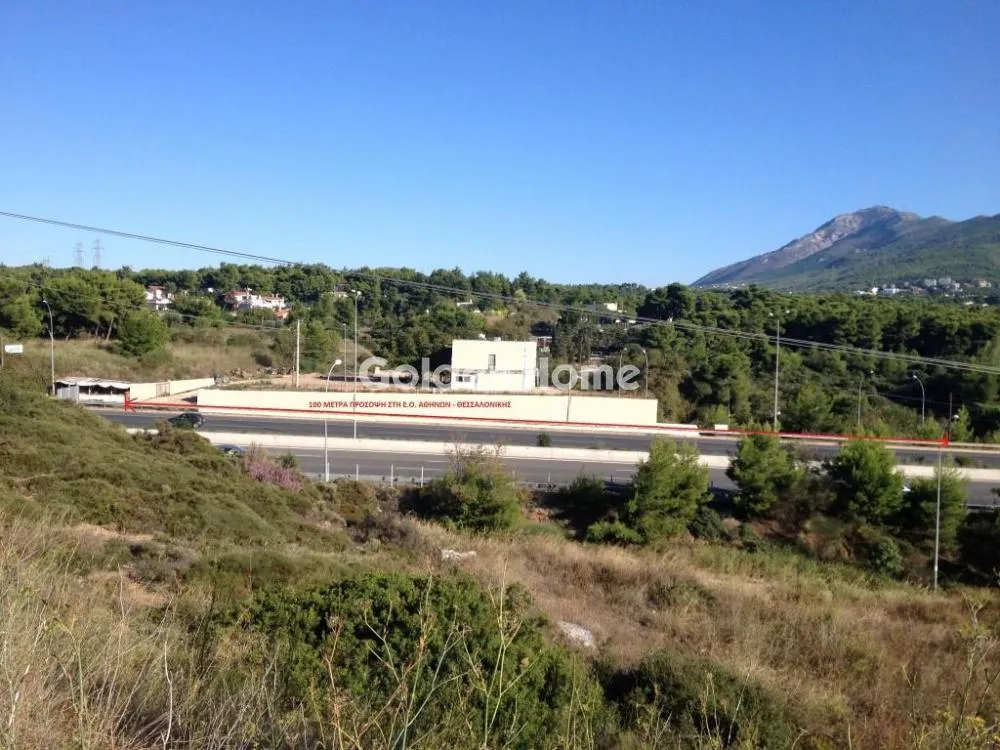 Garden - Industrial Plot with Forest View in Phasideri