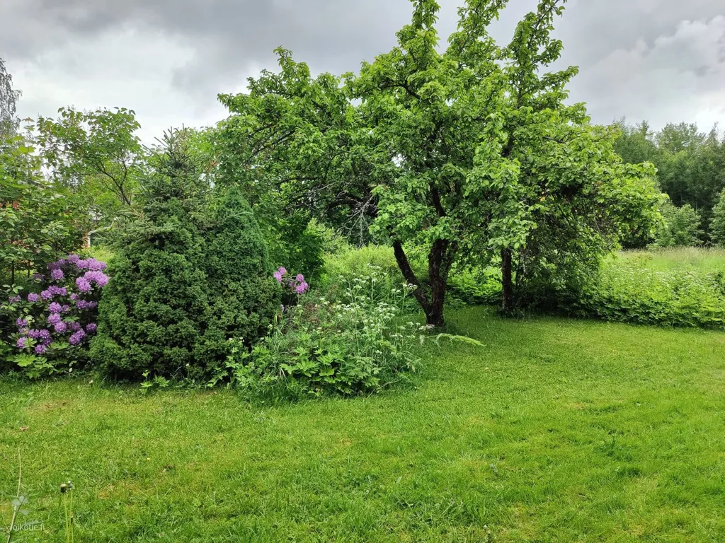 Jardin - Spacious Apartment with Sauna in Kuusankoski