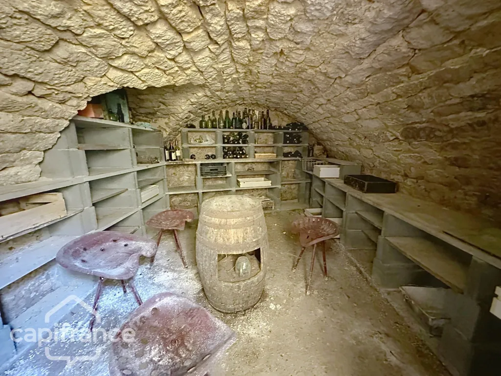 Toad - House with Workshop in Thouars