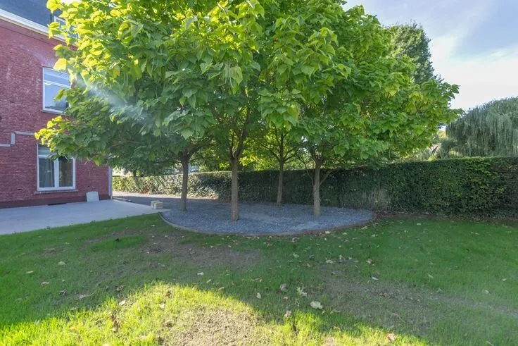 Jardin - Chambre dans Colocation avec Salle de Sport à Louvain-la-Neuve