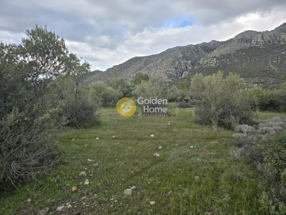 Garden - Plot with Sea View in Loutraki-Perachora