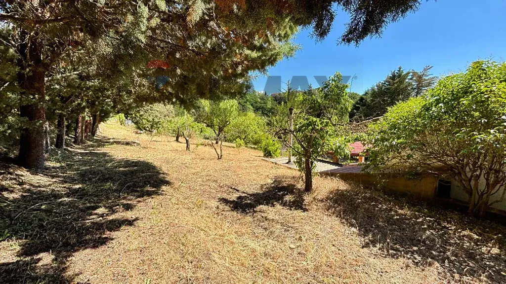 Aed - Villa with Olive Grove in Alimena