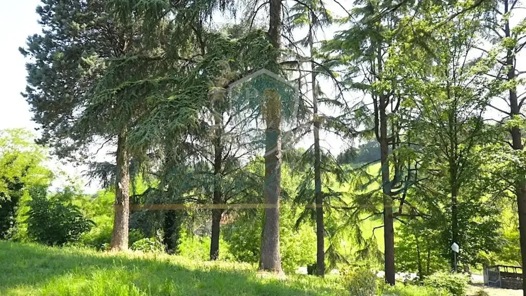Giardino - Historic Villa with Vineyard View in San Colombano