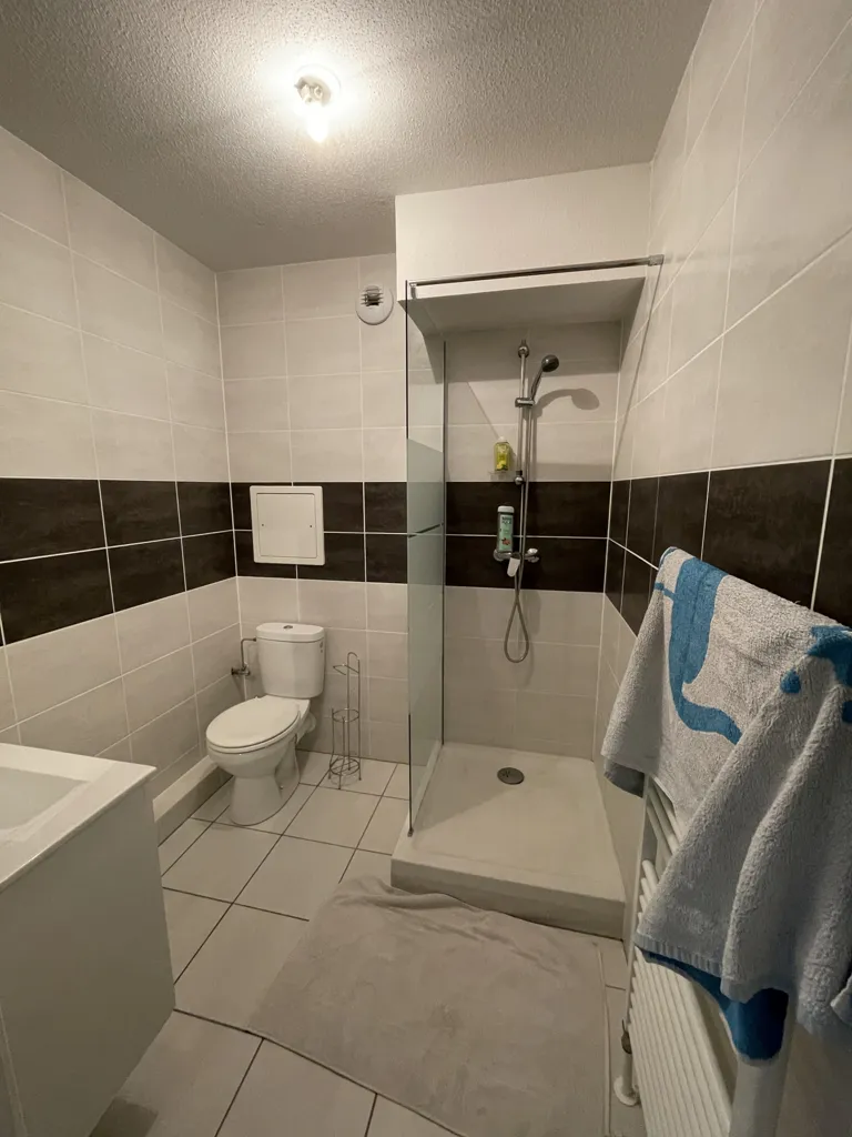 Salles de bain - Appartement Duplex avec Terrasse à Strasbourg