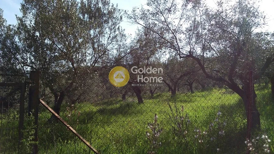 Aed - Plot with Panoramic View in Nauplia