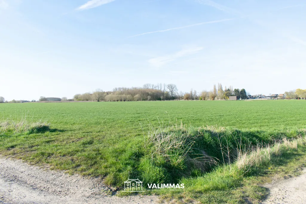 Jardin - Terrain Agricole de 52 ares à Opwijk