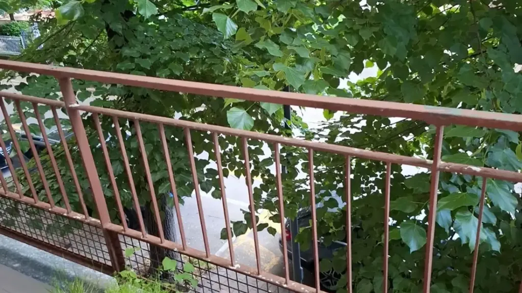 Balcon - Trilocale with Balcony in Piacenza