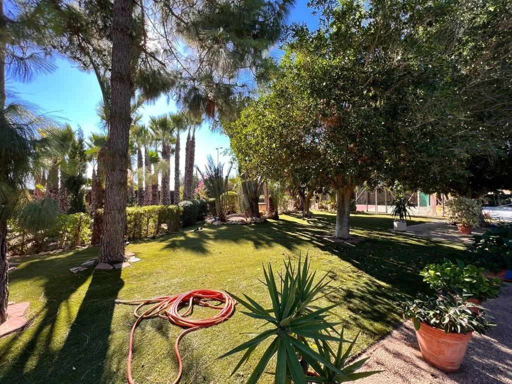 Aed - Detached House with Pool in Elche