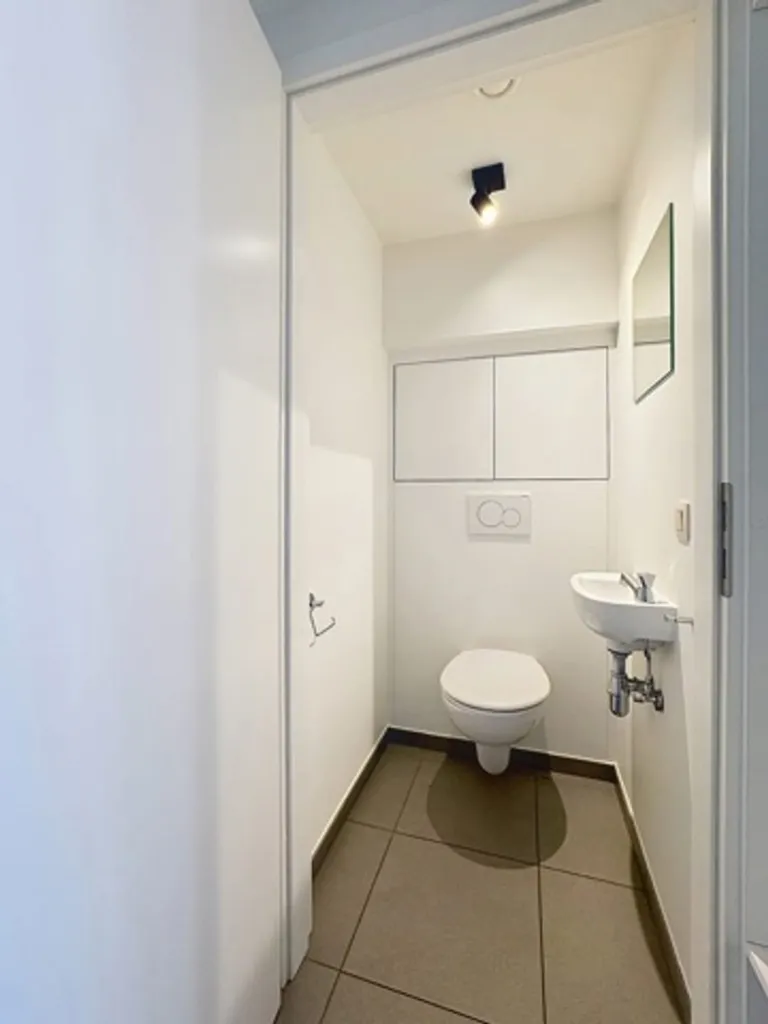 Vannitoad - Renovated Apartment with Terrace in Aubel