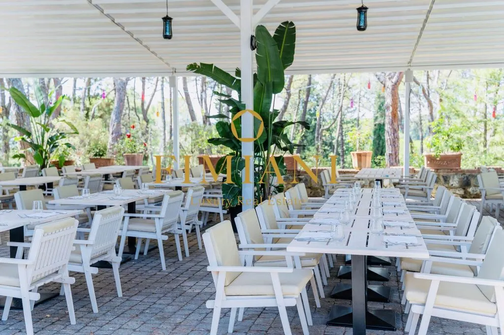 Terrasse - Luxury Hotel with Pool in Greve in Chianti