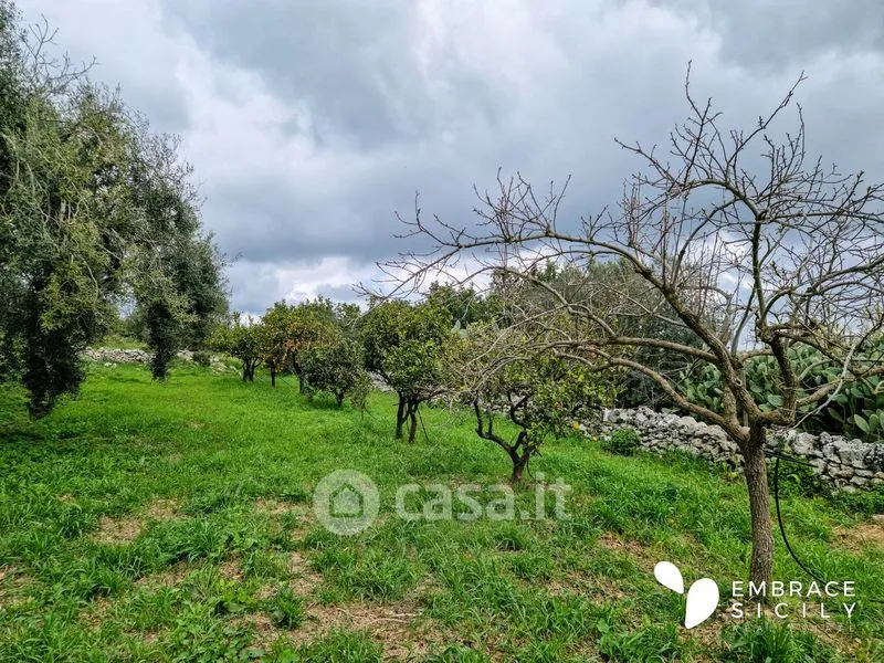 Aed - Rustic House with Garden in Noto