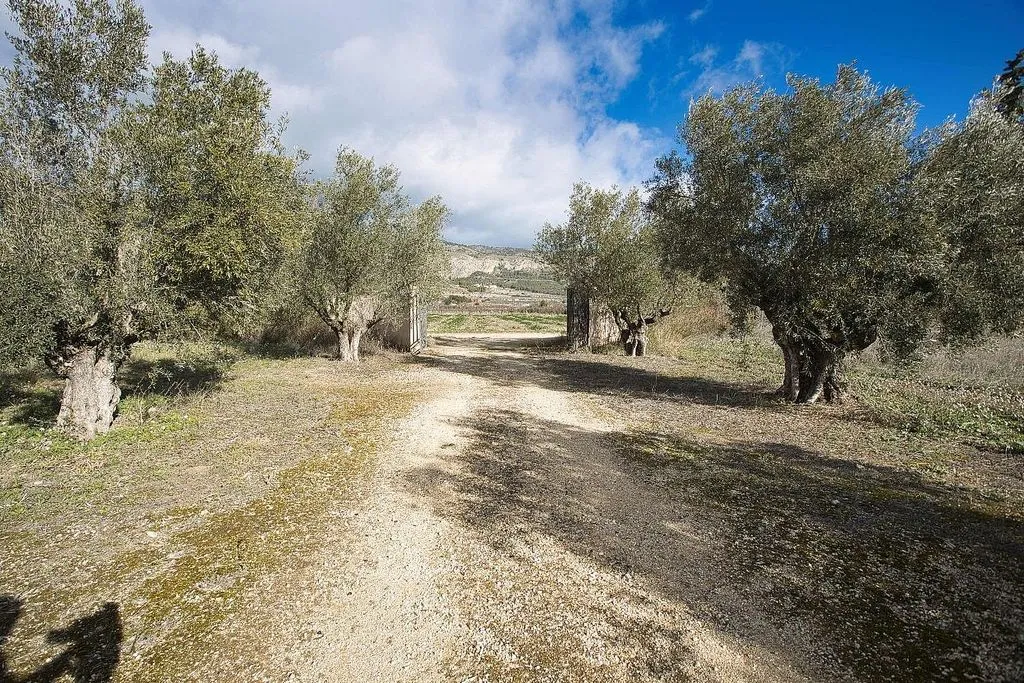 Aed - Restored Chalet with Olive Grove in Castalla