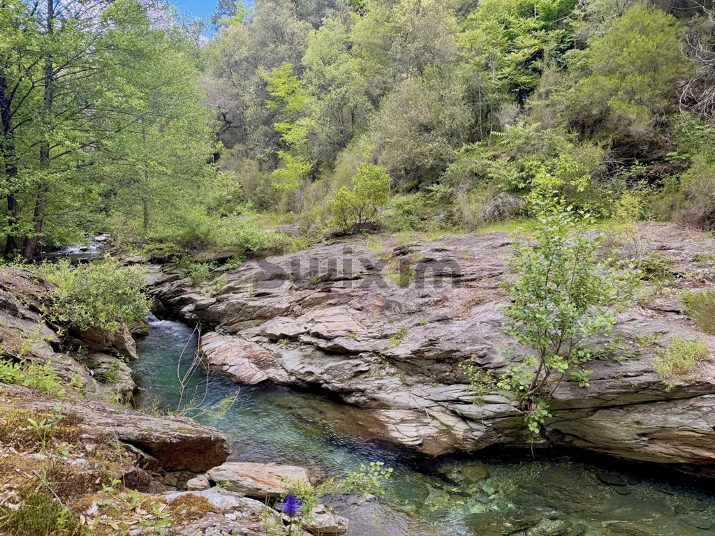 Hameau de 22 Hectares avec Piscine en Cévennes