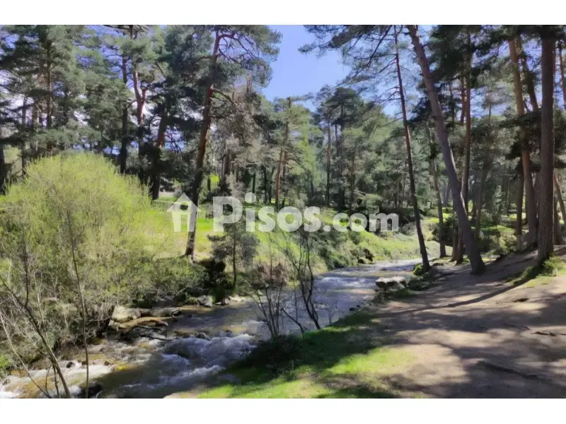 Charming Duplex in Historic Centre, Segovia