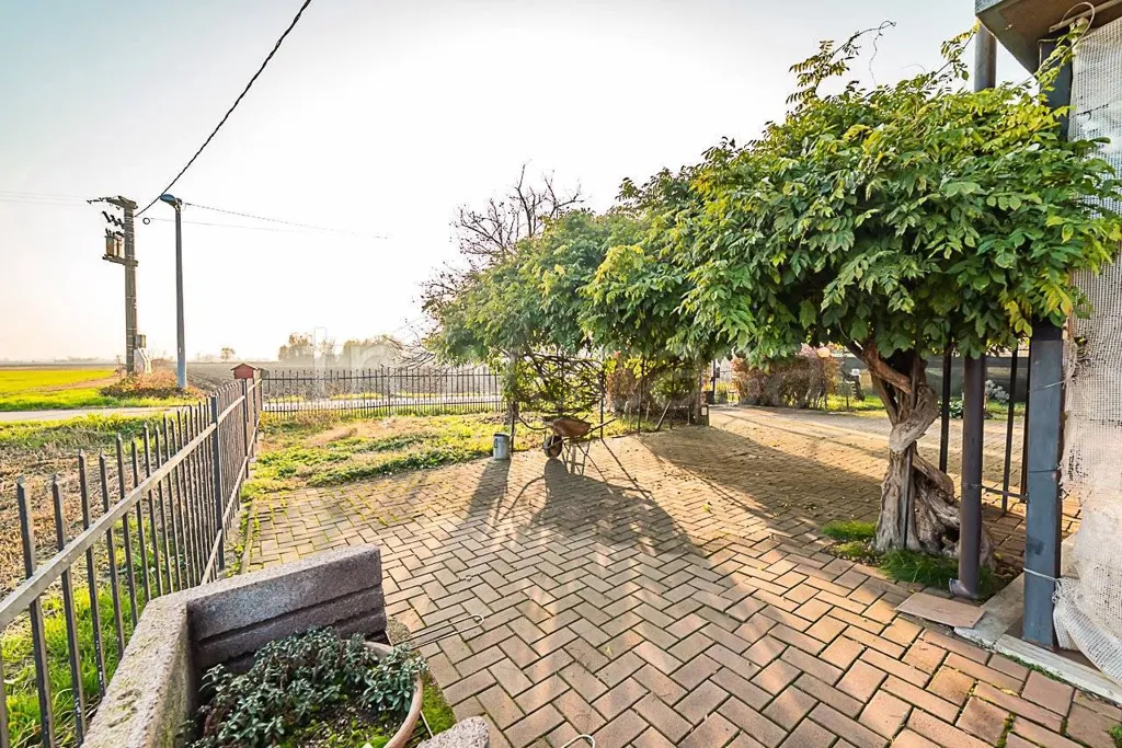 Jardin - Villa with Garden in Faule, Piemonte