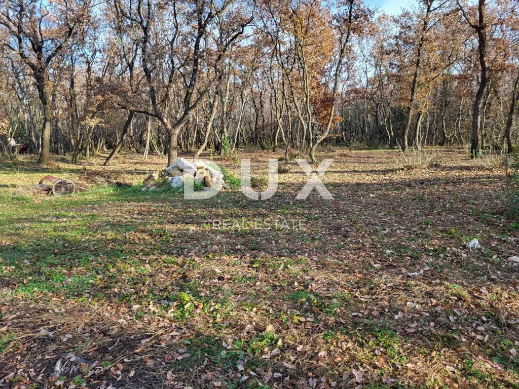 Giardino - Planned Development with Agricultural Land in Umag