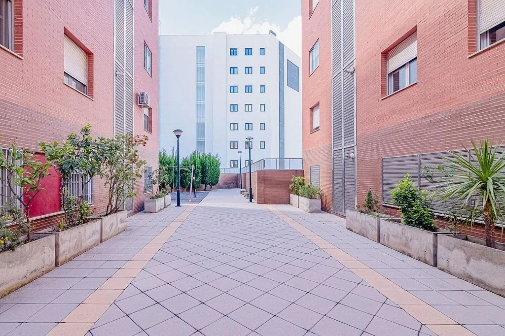 Jardin - Apartment with Terrace in Albayda, Granada